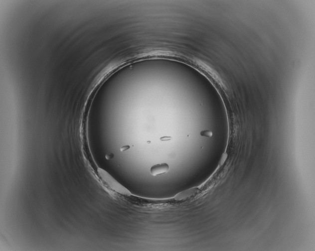 X0000116641282200912141228