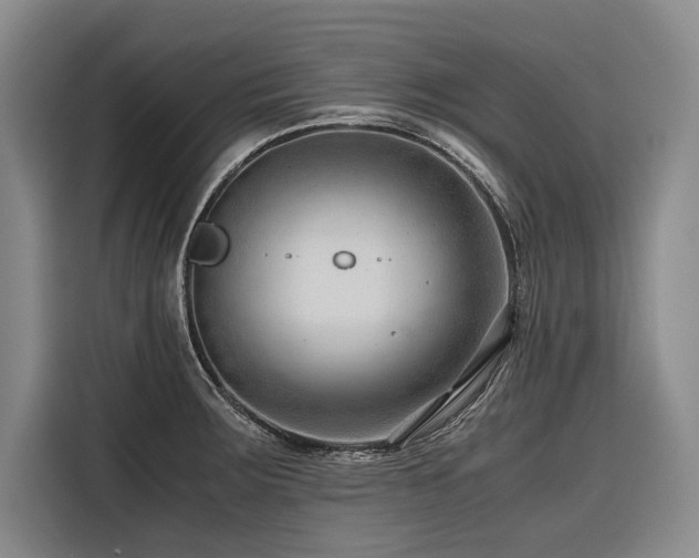 X0000116641283200912141228