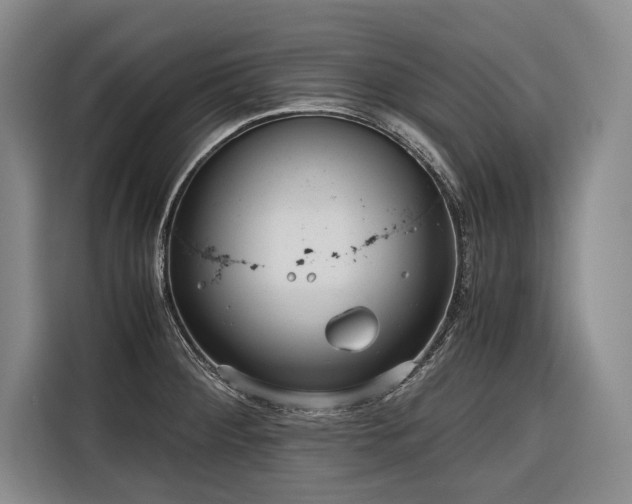 X0000116641284200912141228