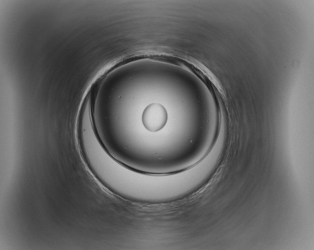 X0000116641285200912141228