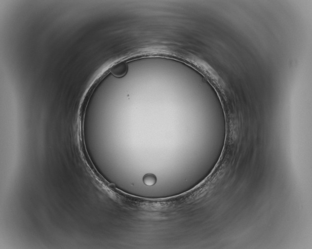 X0000116641286200912141228