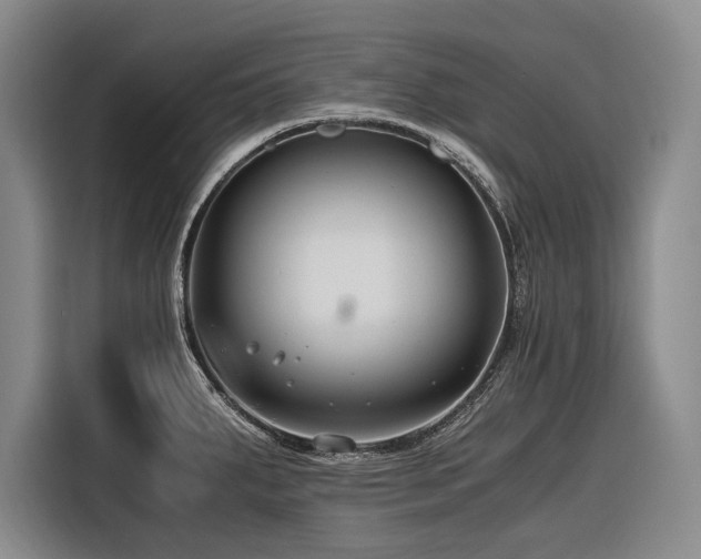 X0000116641287200912141228