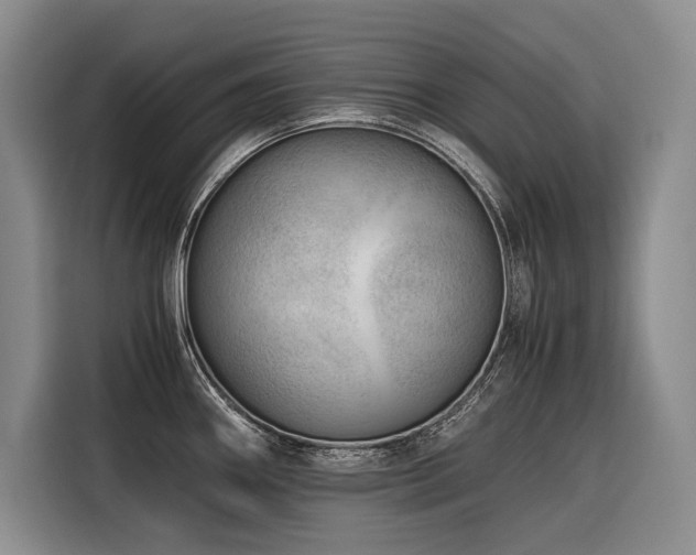 X0000116641290200912141228