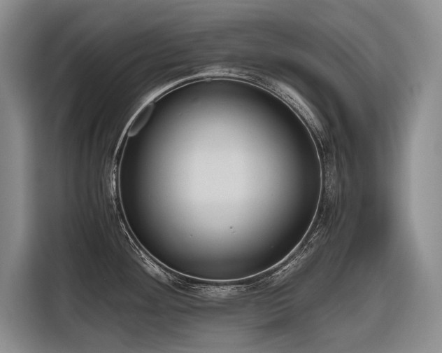 X0000116641292200912141228