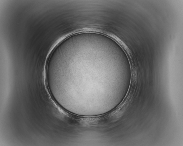 X0000116641294200912141228