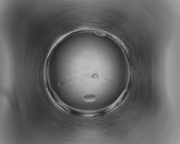 X0000116641295200912141228