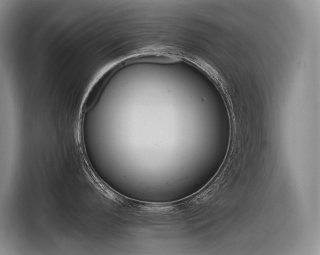 X0000116641296200912141228