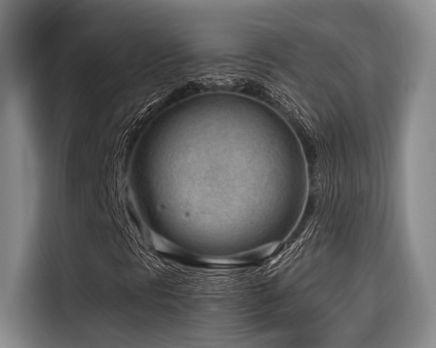 X0000116641297200912141227