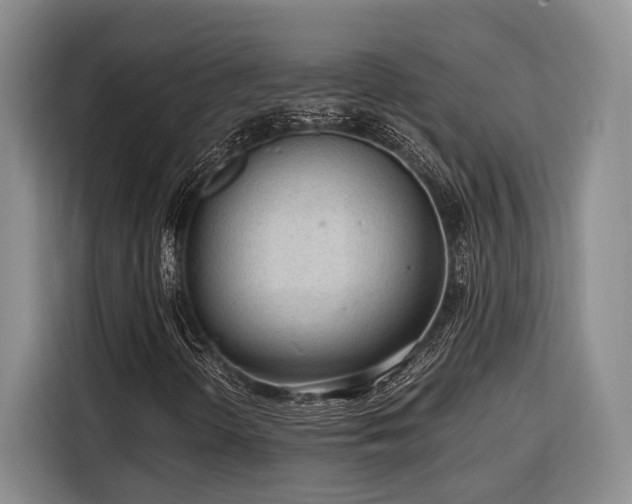 X0000116641298200912141227