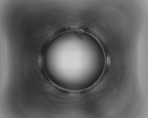 X0000116641299200912141227