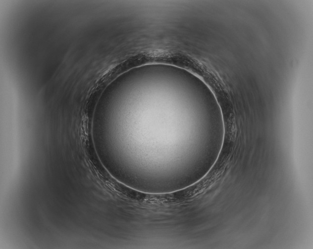 X0000116641301200912141227