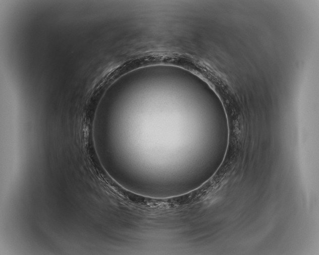 X0000116641302200912141227