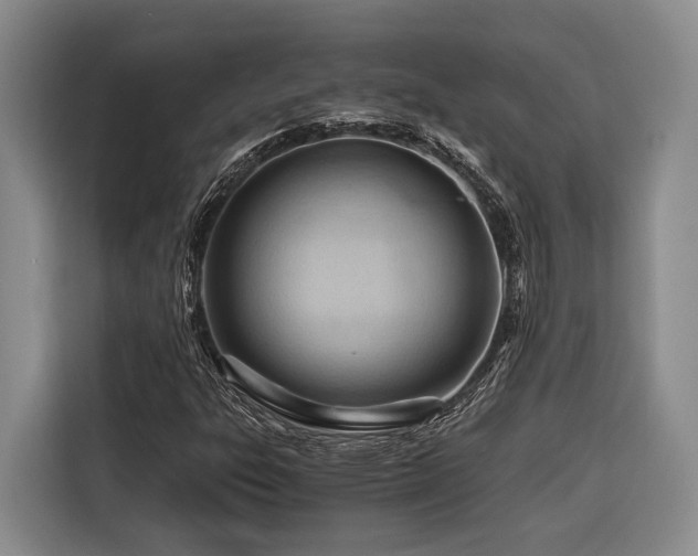 X0000116641303200912141227