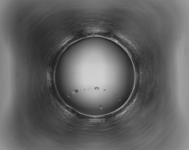 X0000116641305200912141227