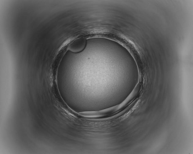 X0000116641306200912141227