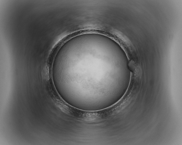 X0000116641310200912141227