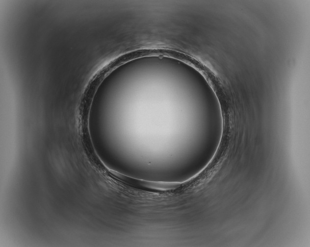 X0000116641311200912141227