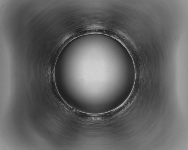 X0000116641313200912141227