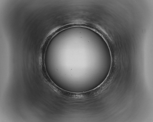 X0000116641315200912141227