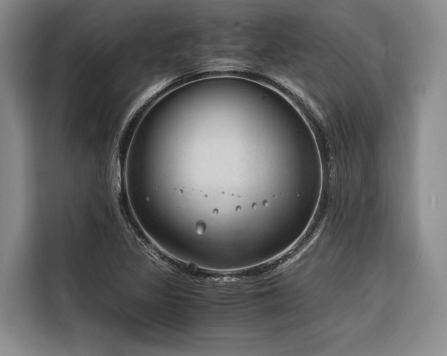 X0000116641317200912141227