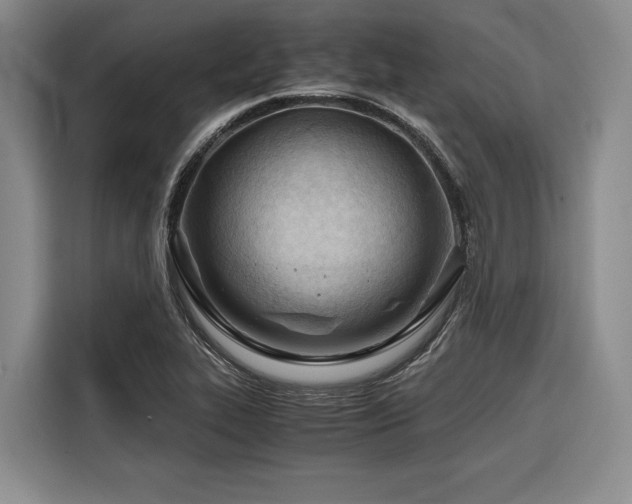 X0000116641319200912141227