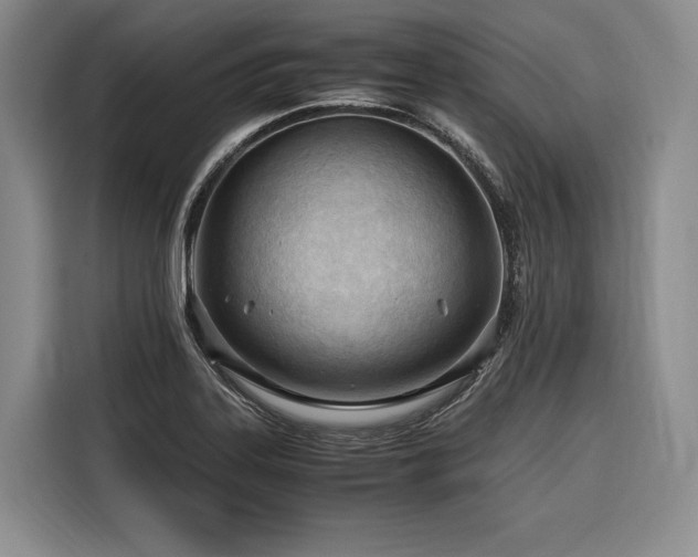 X0000116641323200912141227