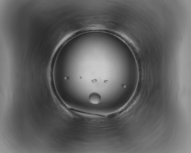 X0000116641325200912141227