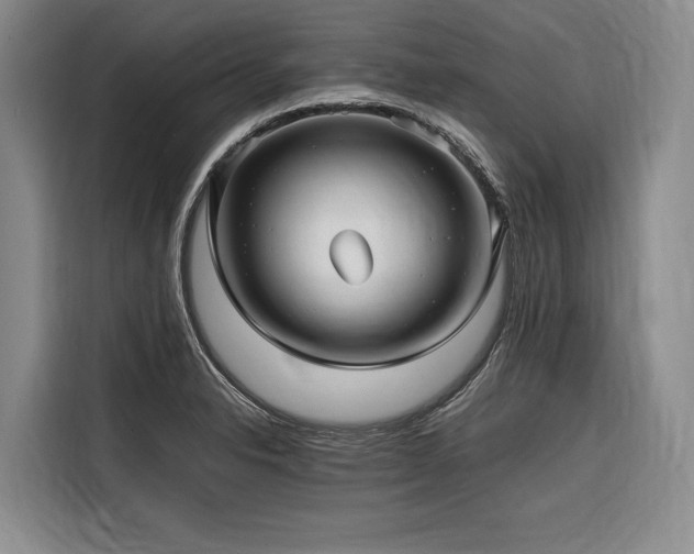 X0000116641326200912141227