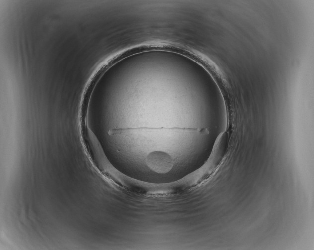 X0000116641327200912141227