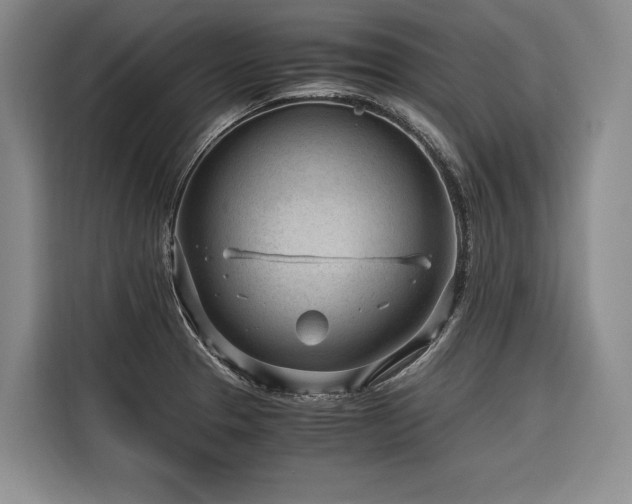 X0000116641329200912141228