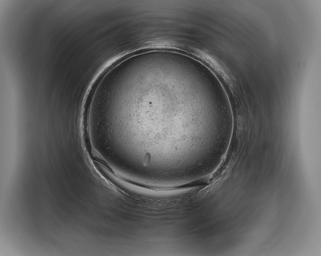 X0000116641331200912141228