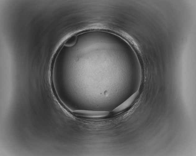 X0000116641334200912141228