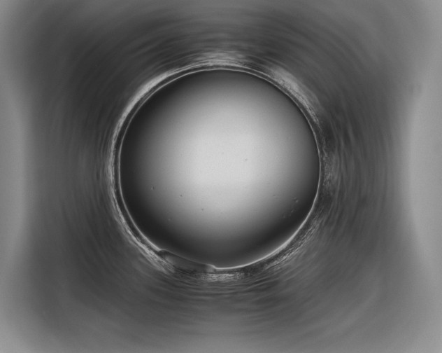 X0000116641339200912141228