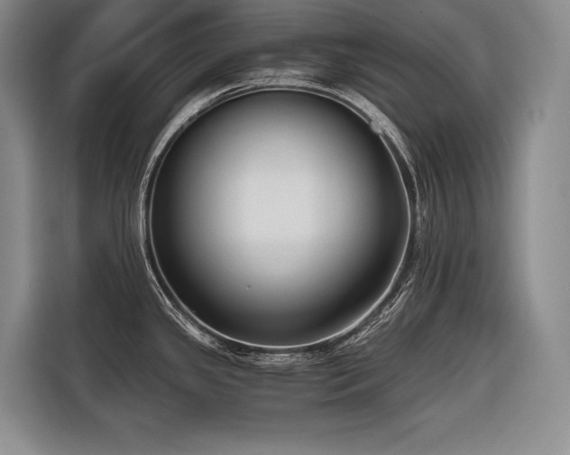 X0000116641341200912141228