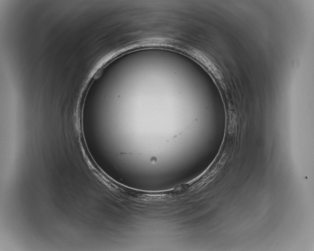 X0000116641342200912141228