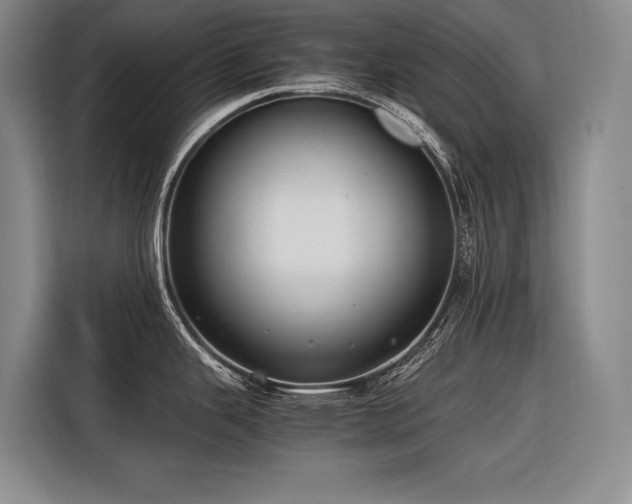 X0000116641343200912141228