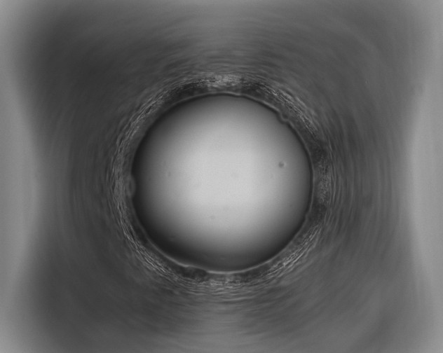 X0000116641345200912141227