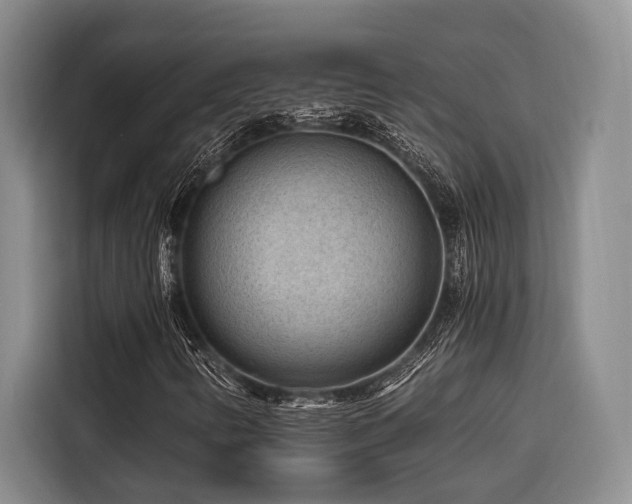 X0000116641346200912141227