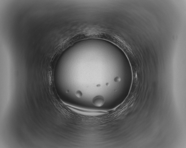 X0000116641348200912141227