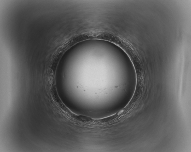 X0000116641349200912141227