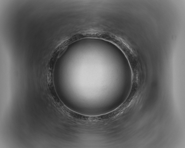 X0000116641350200912141227