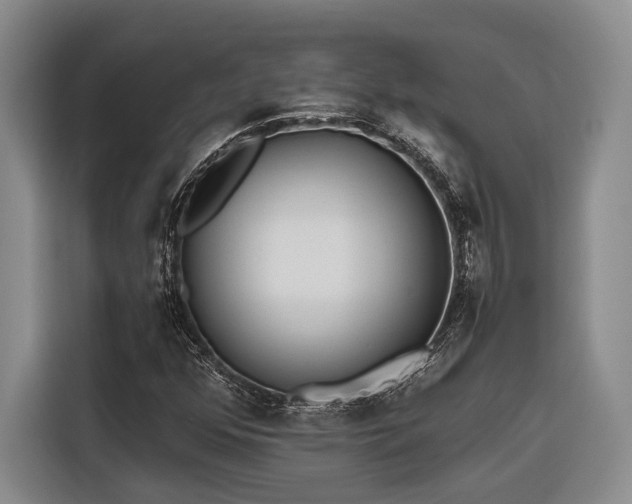 X0000116641352200912141227