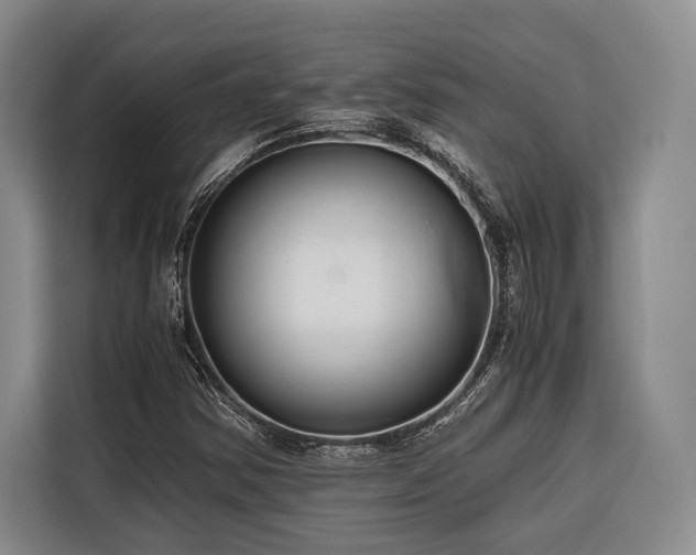 X0000116641354200912141227