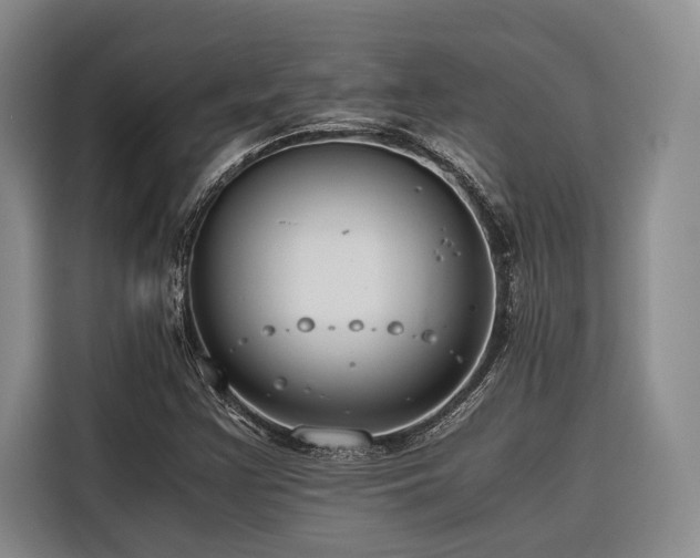 X0000116641355200912141227