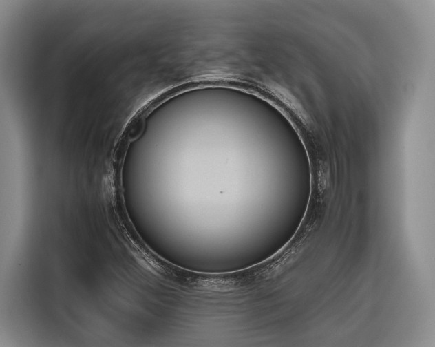 X0000116641356200912141227