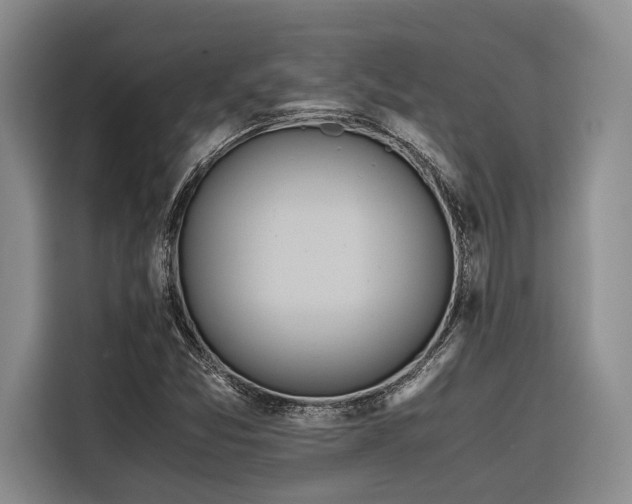 X0000116641357200912141227