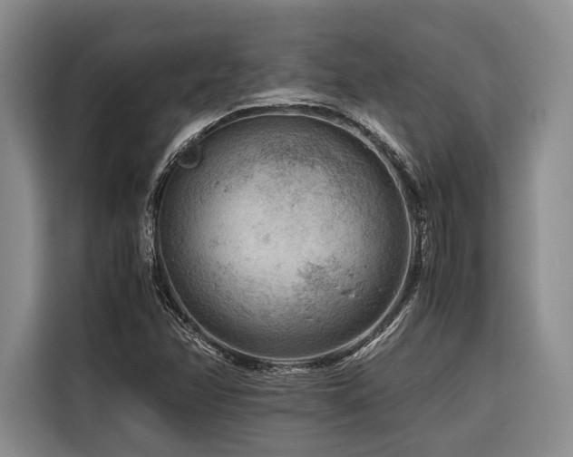 X0000116641358200912141227