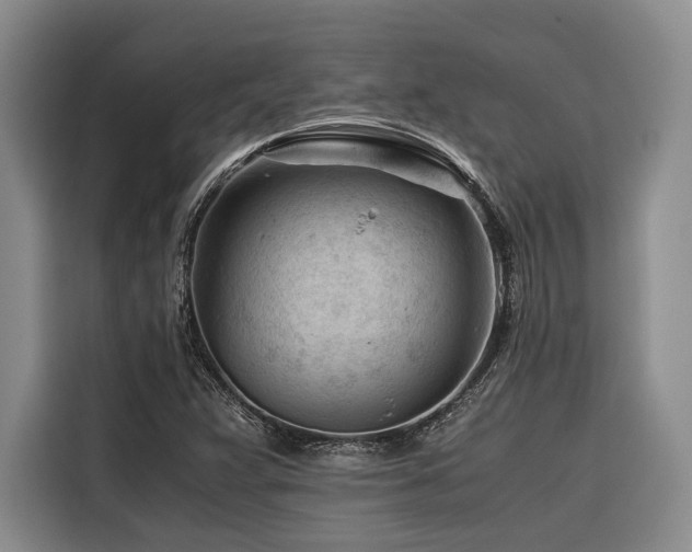 X0000116641359200912141227