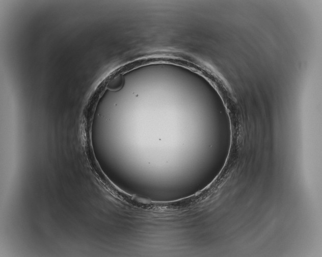 X0000116641360200912141227