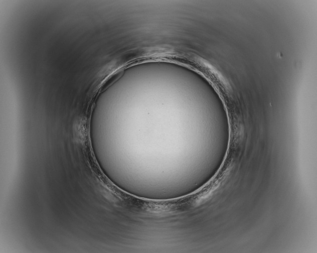 X0000116641361200912141227